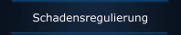Schadensregulierung